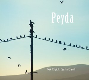 peyda_cover